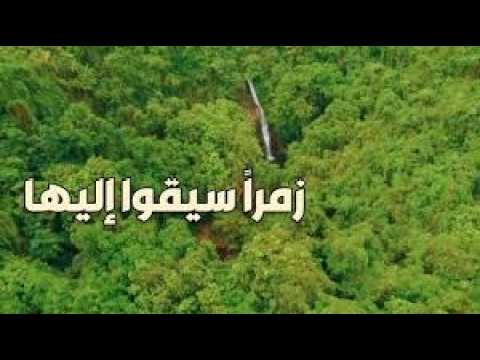 زمراً سيقوا اليها