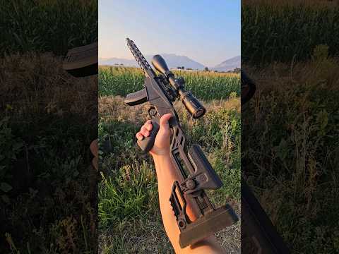 Ruger Precision Rifle 17HMR. If you don't have one I highly suggest it!