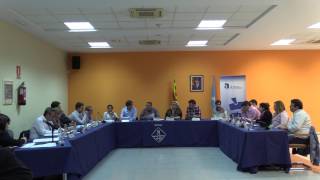 Ple ordinari de 30 de març de 2017 (4a part)