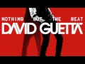 David Guetta ft. Chris Brown & Lil Wayne - I Can Only Imagine (Francisco Maria Extended Mix)