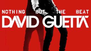 David Guetta ft. Chris Brown &amp; Lil Wayne - I Can Only Imagine (Francisco Maria Extended Mix)