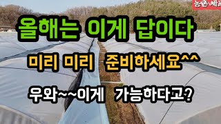 #샤인머스켓재배기술 #비닐하우스 #귀농귀촌가온