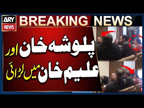 Heated Debate Between Senator Palwasha Khan And Aleem Khan in Senators Meeting