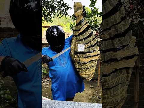 আমাকে বিপদে ফেলার জন্য মোল্লা শুটকী থেকে দেখেন আমার কাছে কি পাঠাইছে। #youtubeshorts #food #shorts