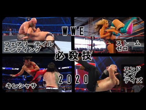 【プロレス】個人的ベスト かっこいい WWE 必殺技集 スーパースター別 2020版【WWE】