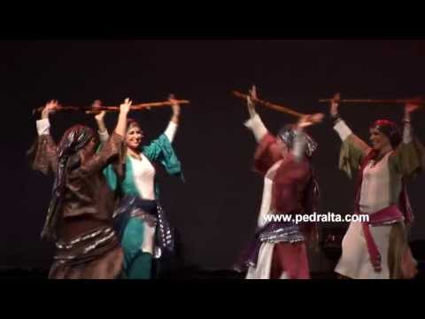 Improvised Saaidi Stick