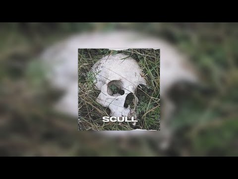 "SCULL" SYNTH PUNK x N8NOFACE x CRYSTAL CASTLES TYPE BEAT