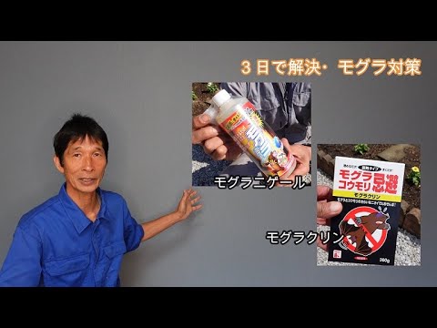 ヒマシ油を使って庭のモグラを追い払う方法