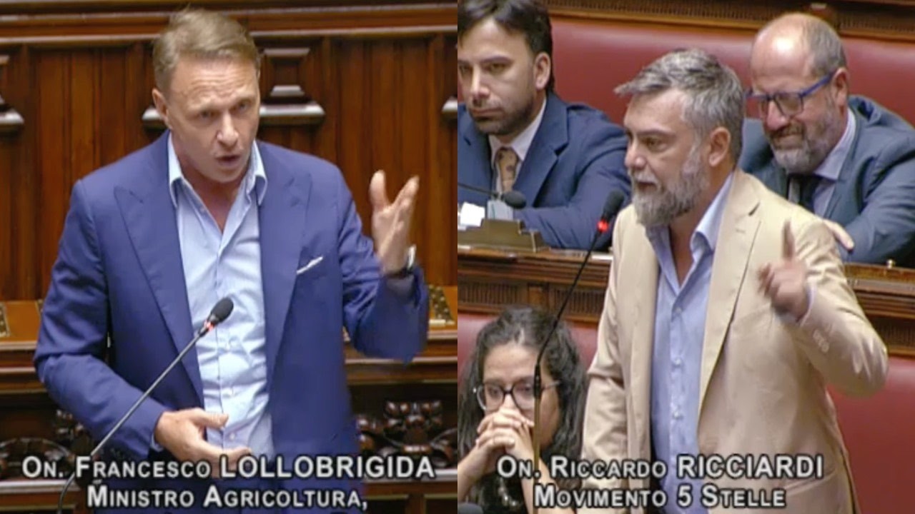 SCONTRO TRA LOLLOBRIGIDA E RICCIARDI: "NERVISMO SULLE CHAT DELMASTRO" - "MENO CHIACCHIERE E FATTI"
