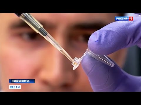 Новую тест-систему для выявления коронавируса разработали новосибирские учёные