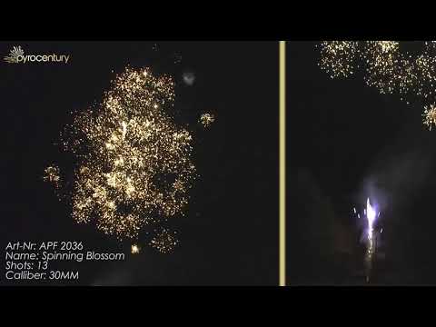 APF 2036   13SH SPINNING BLOSSOM   CE CATEGORY F2