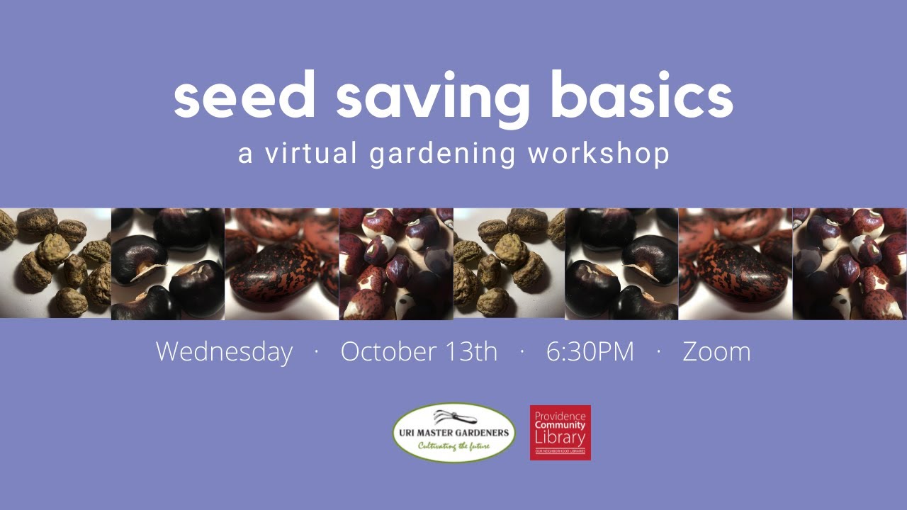 Seed Saving Basics