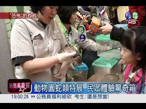 迎接小龍年! 摸驚奇箱與蛇互動