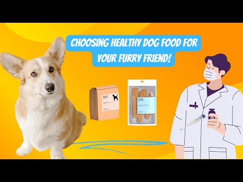 Choosing Healthy Dog Food for Your Furry Friend! Dog Food Tips