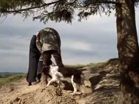 Forsthaus Falkenau Wenn der Fuchs kommt Staffel 12 Episode 06 S12 E06 360p 25fps H264 128kbit AAC