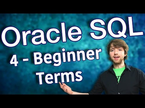 Oracle SQL Tutorial 4 Beginner Terms Database Design Primer 1