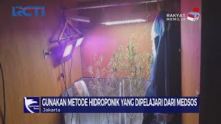 Download lagu Pecandu Narkoba Tanam Ganja untuk Konsumsi Pribadi - SIP 05/08 mp3 Download lagu Pecandu Narkoba Tanam Ganja untuk Konsumsi Pribadi - SIP 05/08 mp3