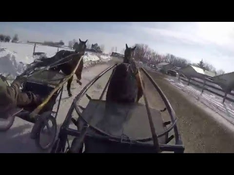 2 27 16 Older Mares Training GoPro