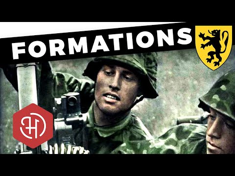 Flemish Volunteers for Germany during World War II: the Flemish Legion and the Flemish Waffen-SS