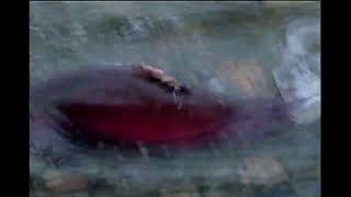 David big coho in the Couma River, 2009.