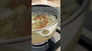 テリー野澤のニュージーランドで自炊チャレンジ! 味噌汁作ってみた #ニュージーランド #ニュージーランド生活 #自炊チャレンジ