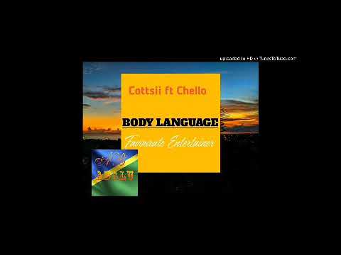 Cottsii X Chello_ Body Language ( Official Audio) 2020