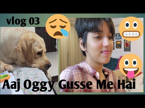 Oggy Ka Gussa😛😛|| Daily Vlogs