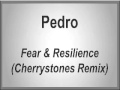 Pedro - Fear & Resilience (Cherrystones Remix)