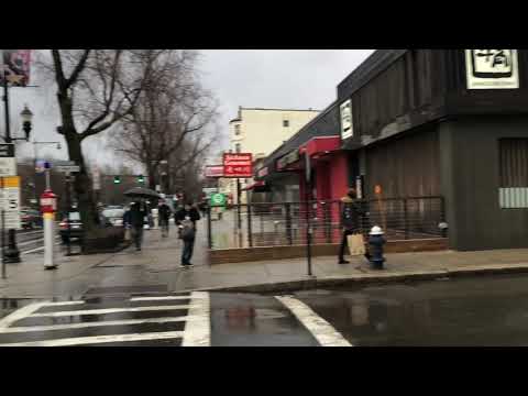 Best Off-Campus Neighborhood! (BU)