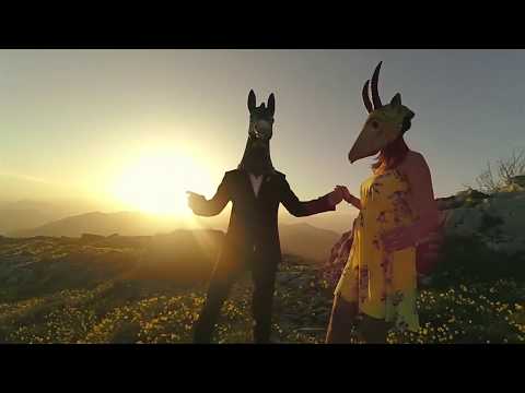 Tot anirà bé - ELS DELAI - 2018