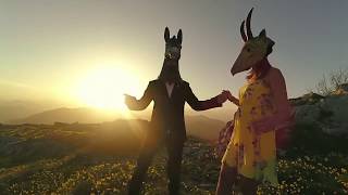 Tot anirà bé - ELS DELAI - 2018