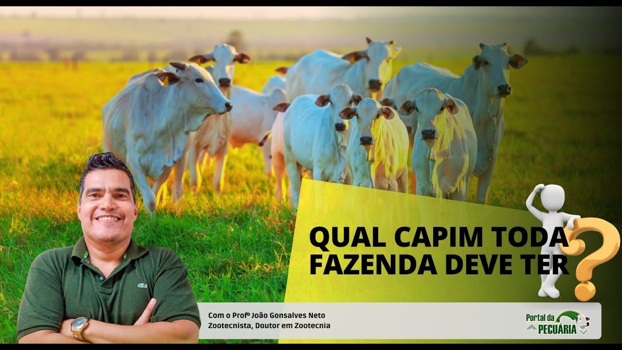 What grass should every cattle farm have?