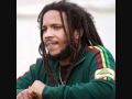 Stephen marley - iron bars + lyrics