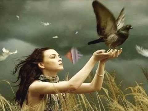 VOAR ALTO - CARLA PIRES