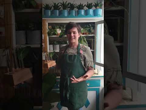 Propagation Stations