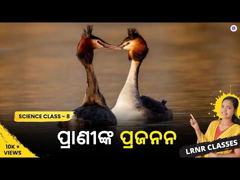 Praninka Prajanan Class 8 Science Chapter 9 