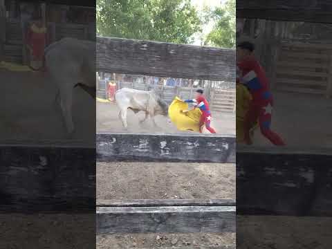 Tradición Viva en San Solano - Festividad del Niño Jesús