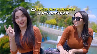 Download lagu DJ EST CE QUE TU MA'MIES x MELODY ULAR v4 BAS HOREG mp3