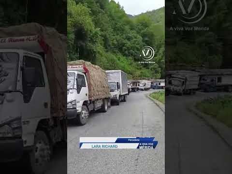 Restringen paso de carga pesada en el sector El Celoso, municipio Cardenal Quintero​