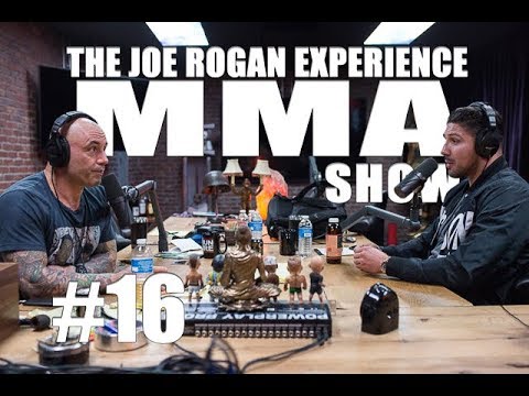 JRE MMA Show #16 with Brendan Schaub