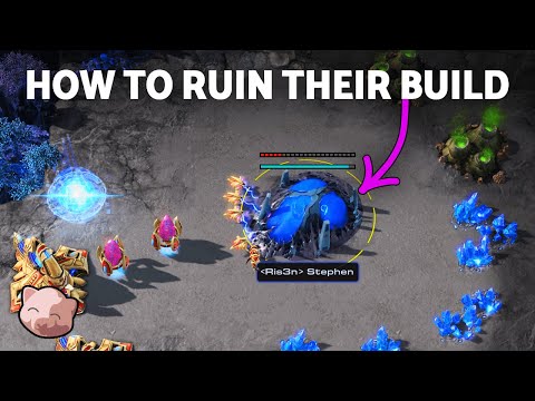 The Double Drone Rush to Piss Off Protosses Everywhere! | Smooth Brain Stephen #2 - StarCraft 2