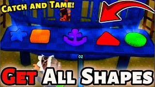How To Find ALL 5 Shapes & Free The Monkey In Catch & Tame (Roblox) | Forgotten Depths Easy Guide