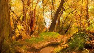 friends re-mix (amy stewart/mike francis) lyrics.wmv