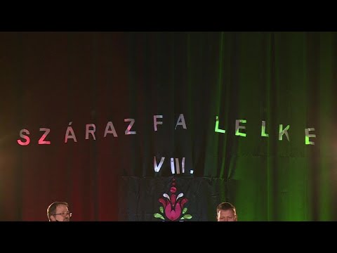 2020.11.14. - Idén is megszervezték a Szárazfa Lelke tamburafesztivált Csantavéren