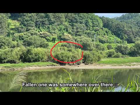 Eclipson model B XL[beta ver.] - 2nd flight & event (3d printing rc airplane)