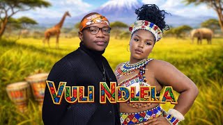 Download lagu Vuli Ndlela Remix Ft. Zaza Moyà & EchoAdvocate  mp3