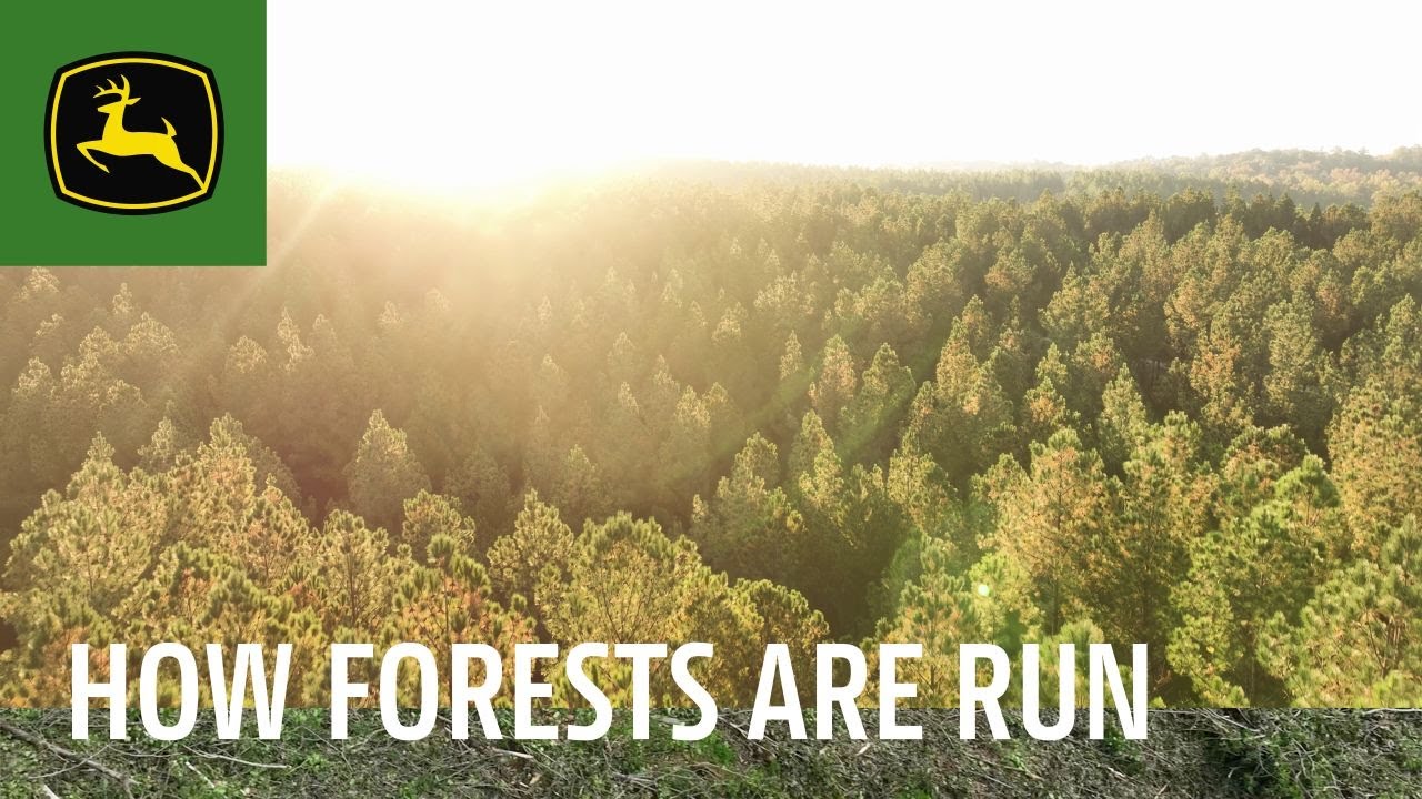 How Forests Are Run | John Deere