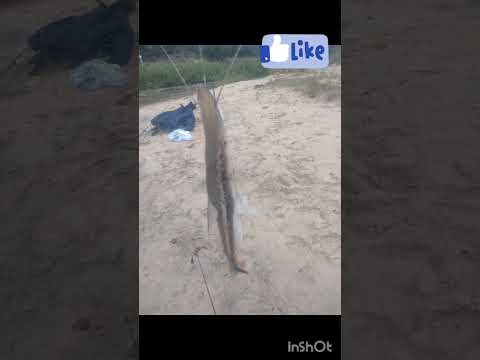 pesca con subscriptores en VIlla Olivari Corrientes