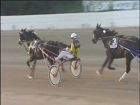 Trotto 22/10/2019 - 6ª corsa