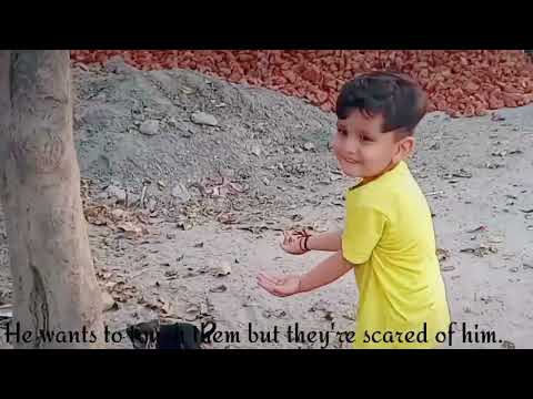 Cutest puppies and viyan | viyan's vlog | #shorts #youtubeshorts #shortrvideos